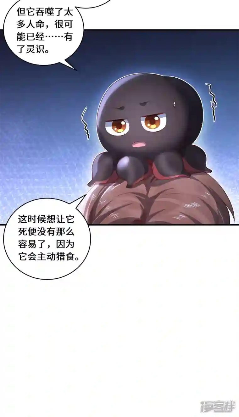 吾本是猫第38话 见面