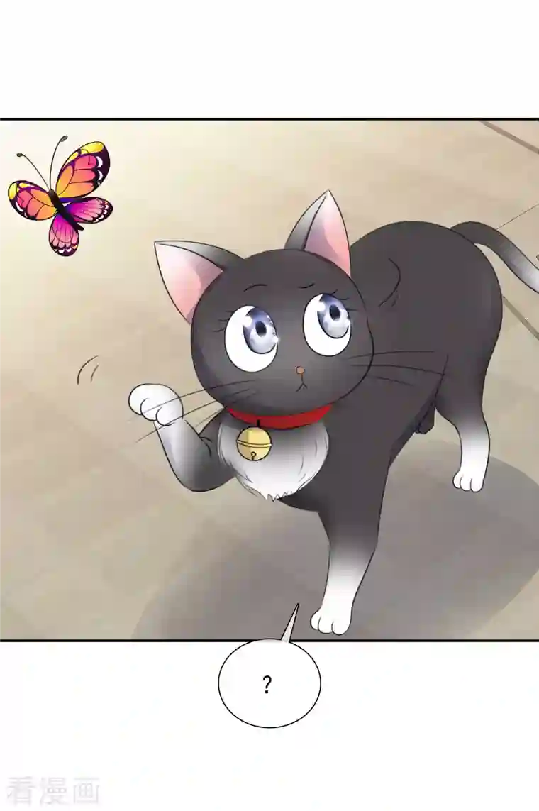 重生后靠脸混娱乐圈第168-169话 正面交锋