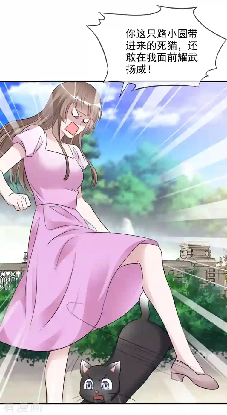 重生后靠脸混娱乐圈第168-169话 正面交锋