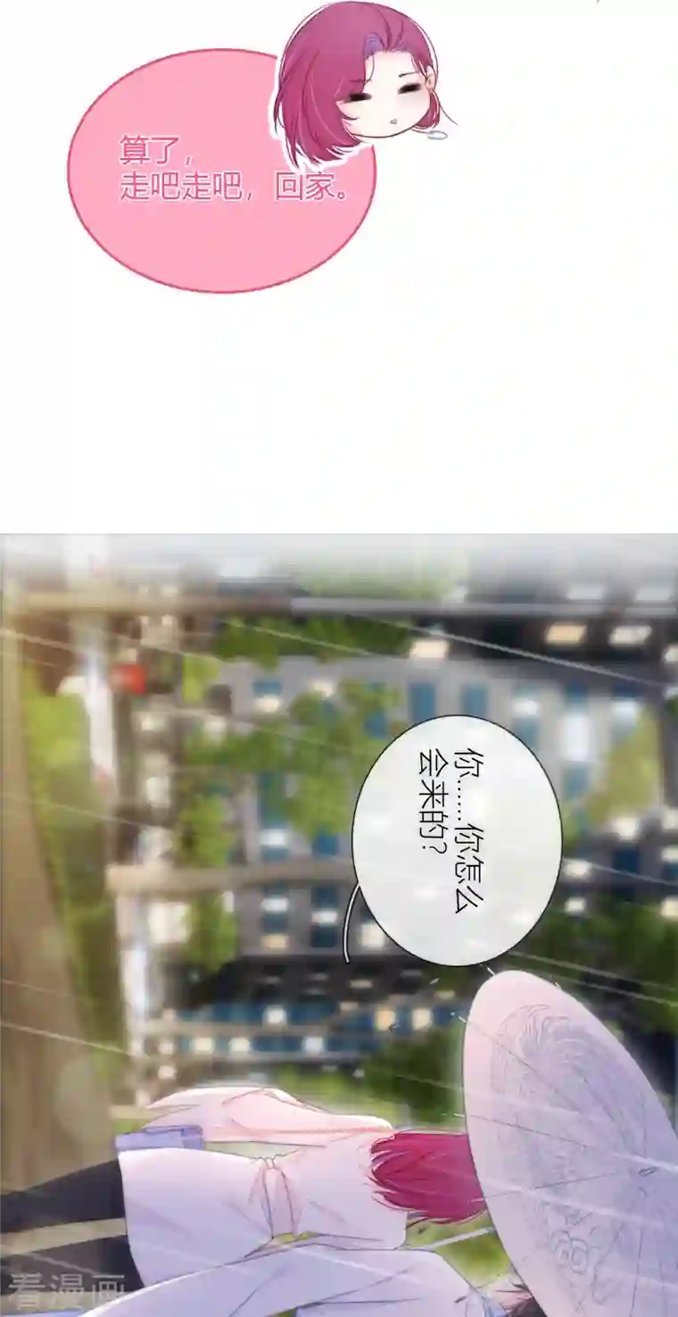 金屋藏骄第18话 撑伞的“他”（下）