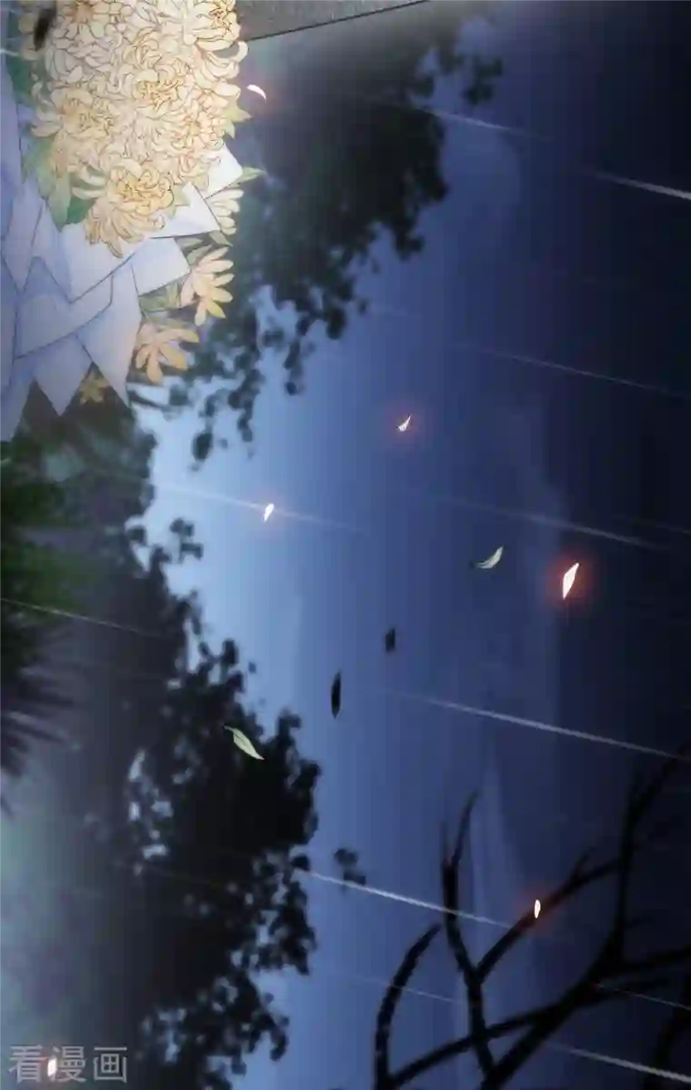 金屋藏骄第18话 撑伞的“他”（下）