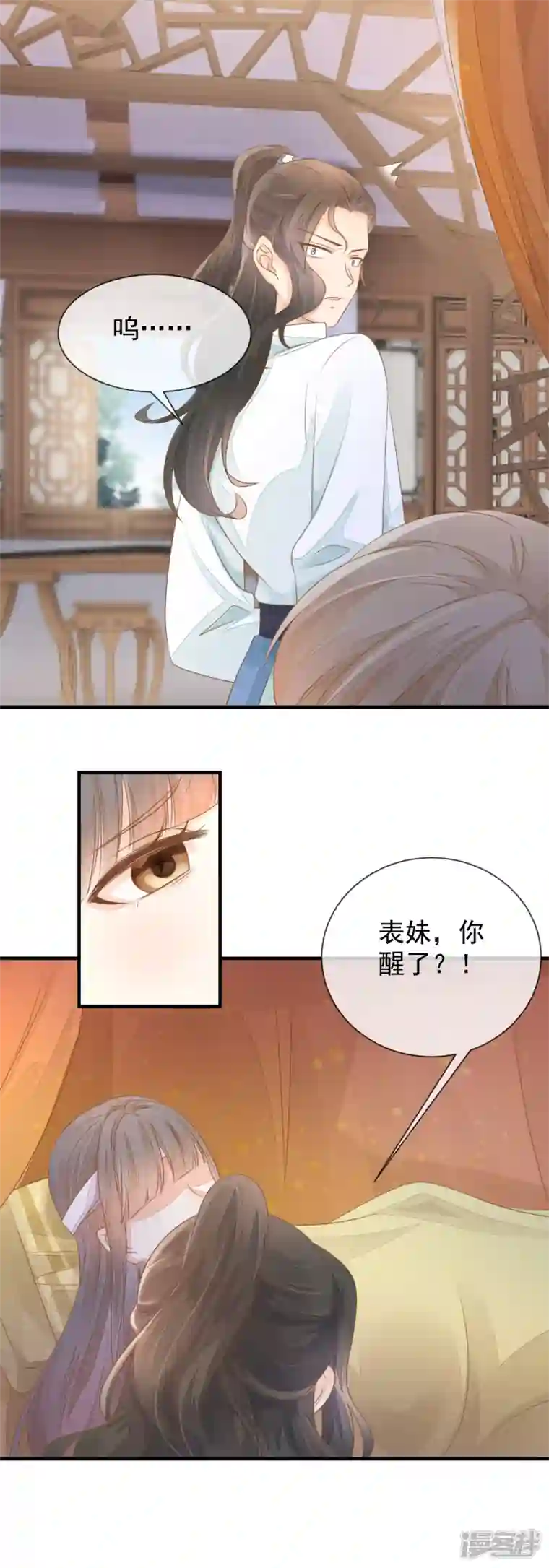 重生之千金毒妃第9话 宠妾灭妻