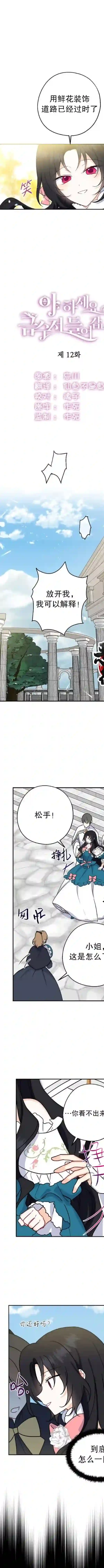 请张嘴，金汤勺来了第12话