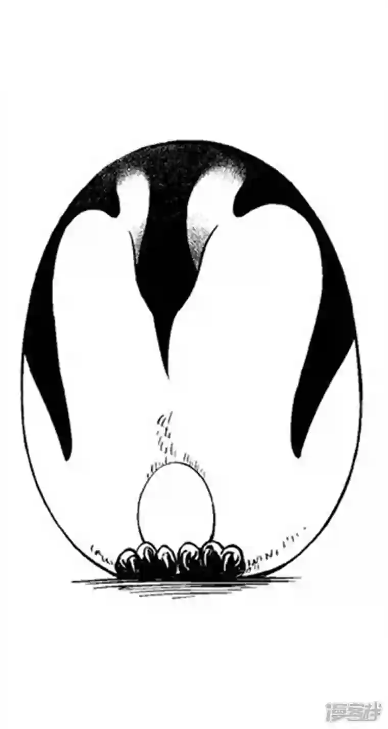 快把动物放进冰箱001孵蛋