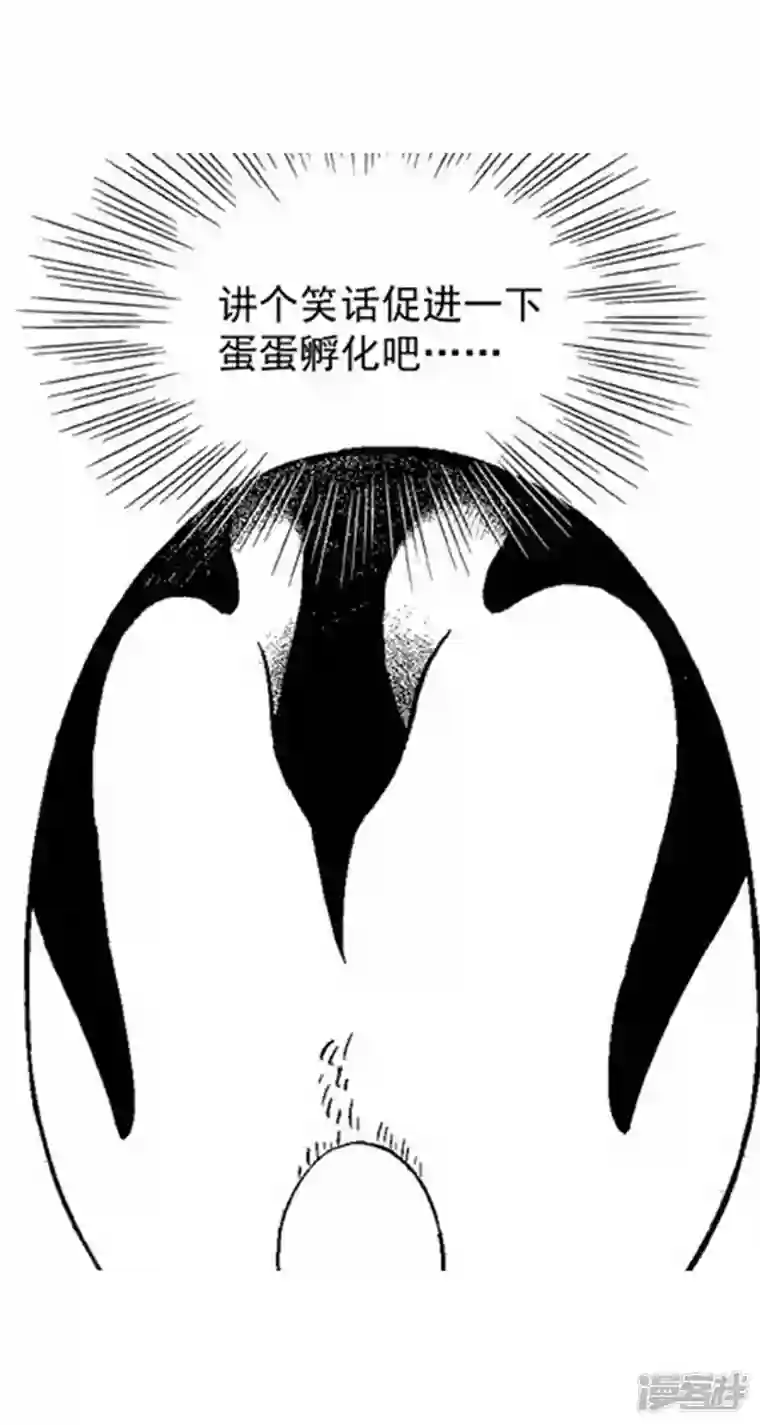 快把动物放进冰箱001孵蛋