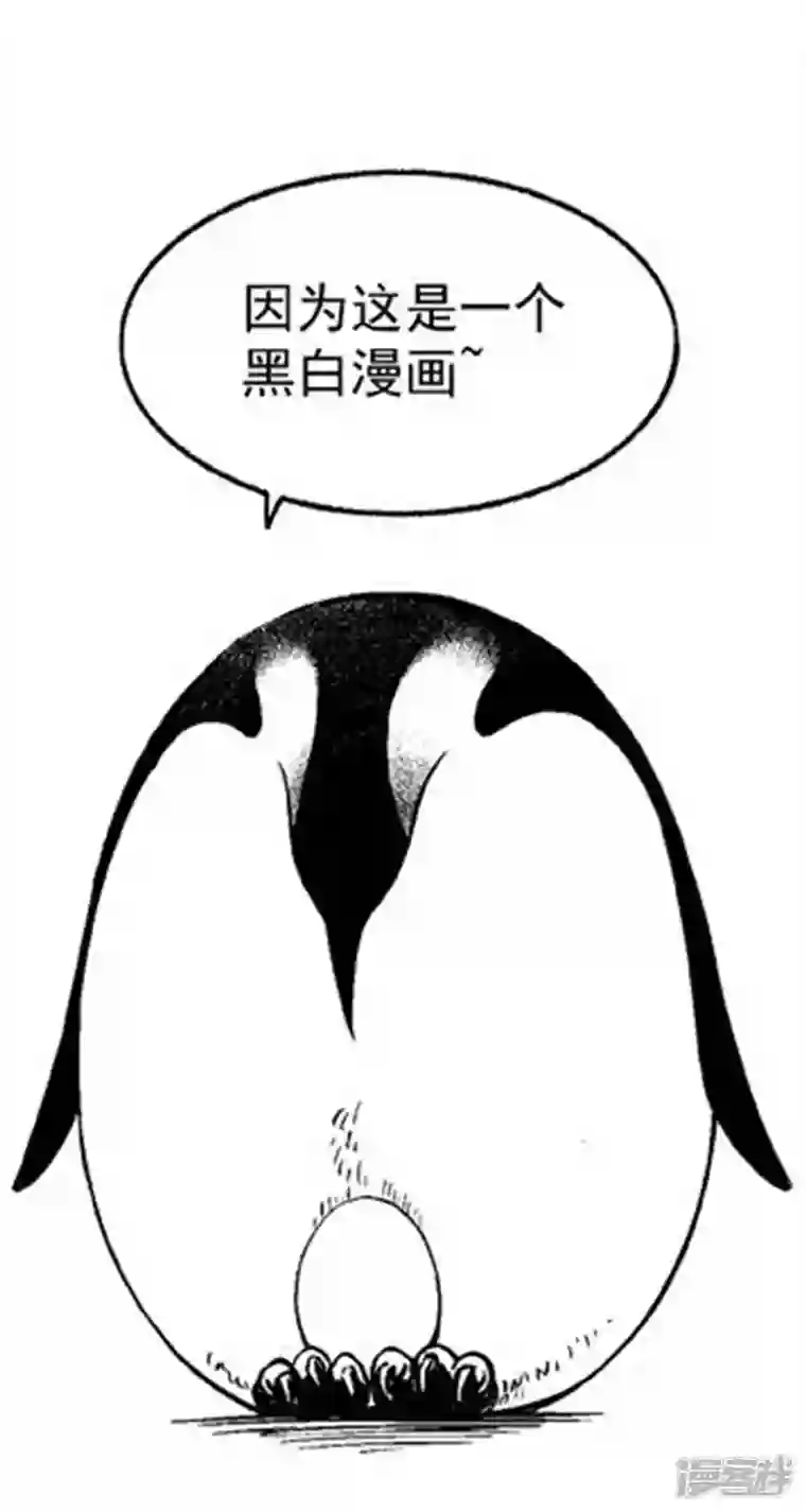 快把动物放进冰箱001孵蛋