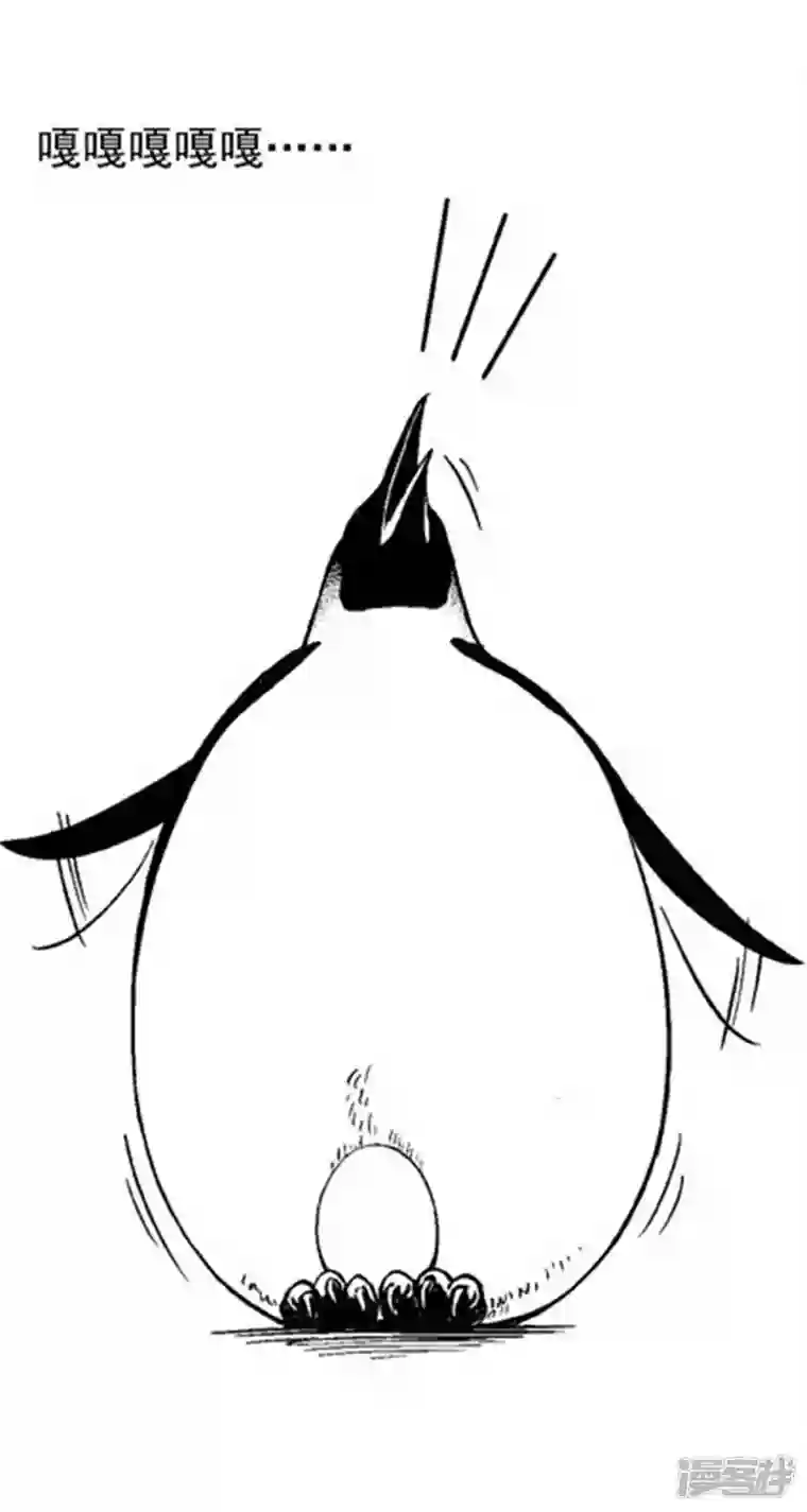 快把动物放进冰箱001孵蛋