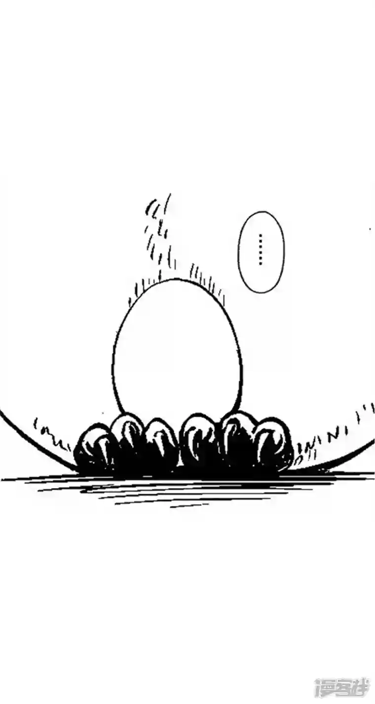 快把动物放进冰箱001孵蛋