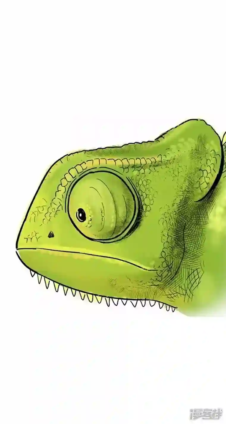 快把动物放进冰箱002变色