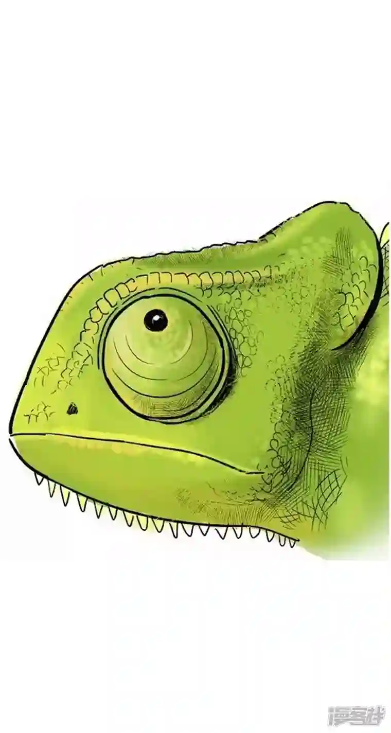 快把动物放进冰箱002变色