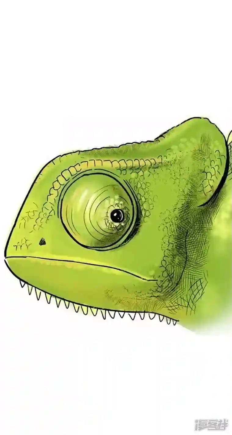 快把动物放进冰箱002变色