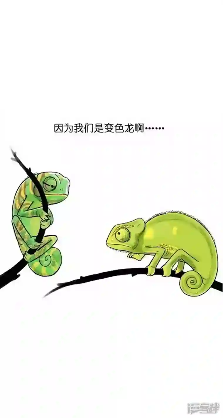 快把动物放进冰箱002变色