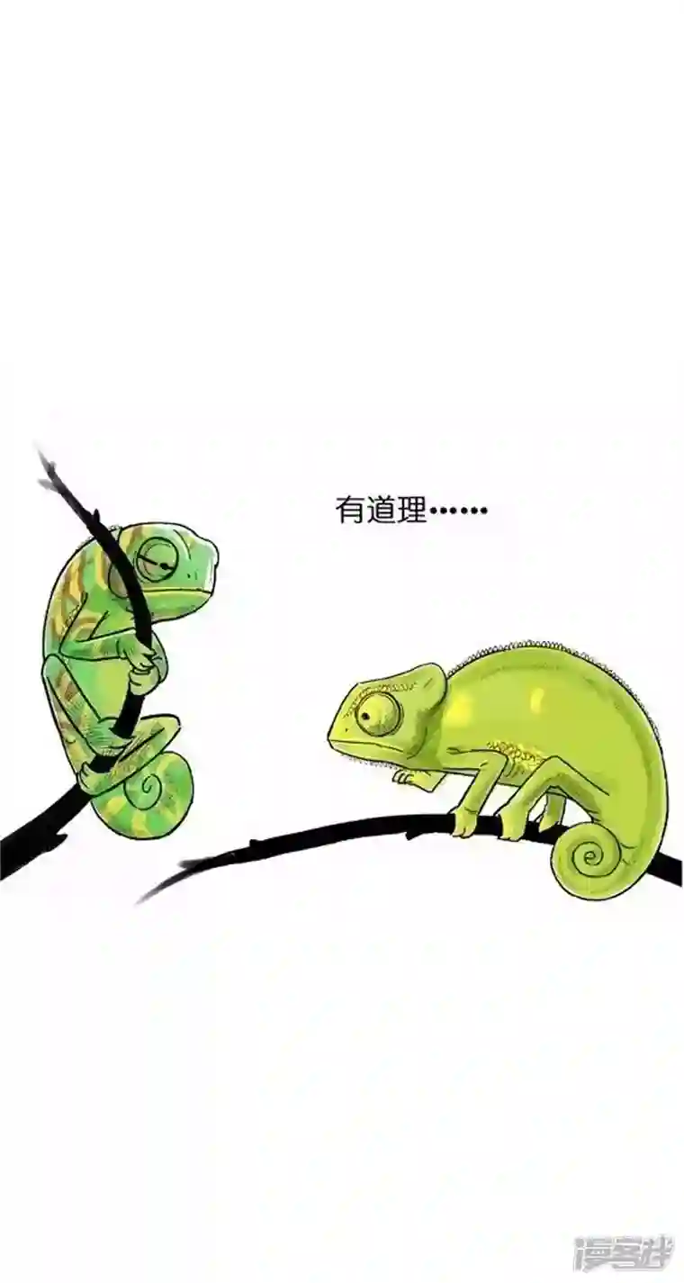 快把动物放进冰箱002变色