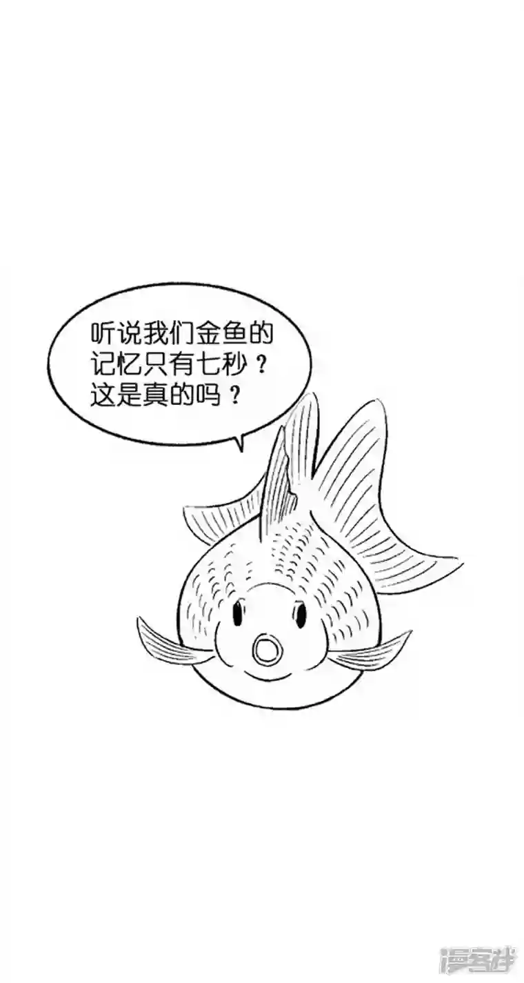 快把动物放进冰箱004健忘