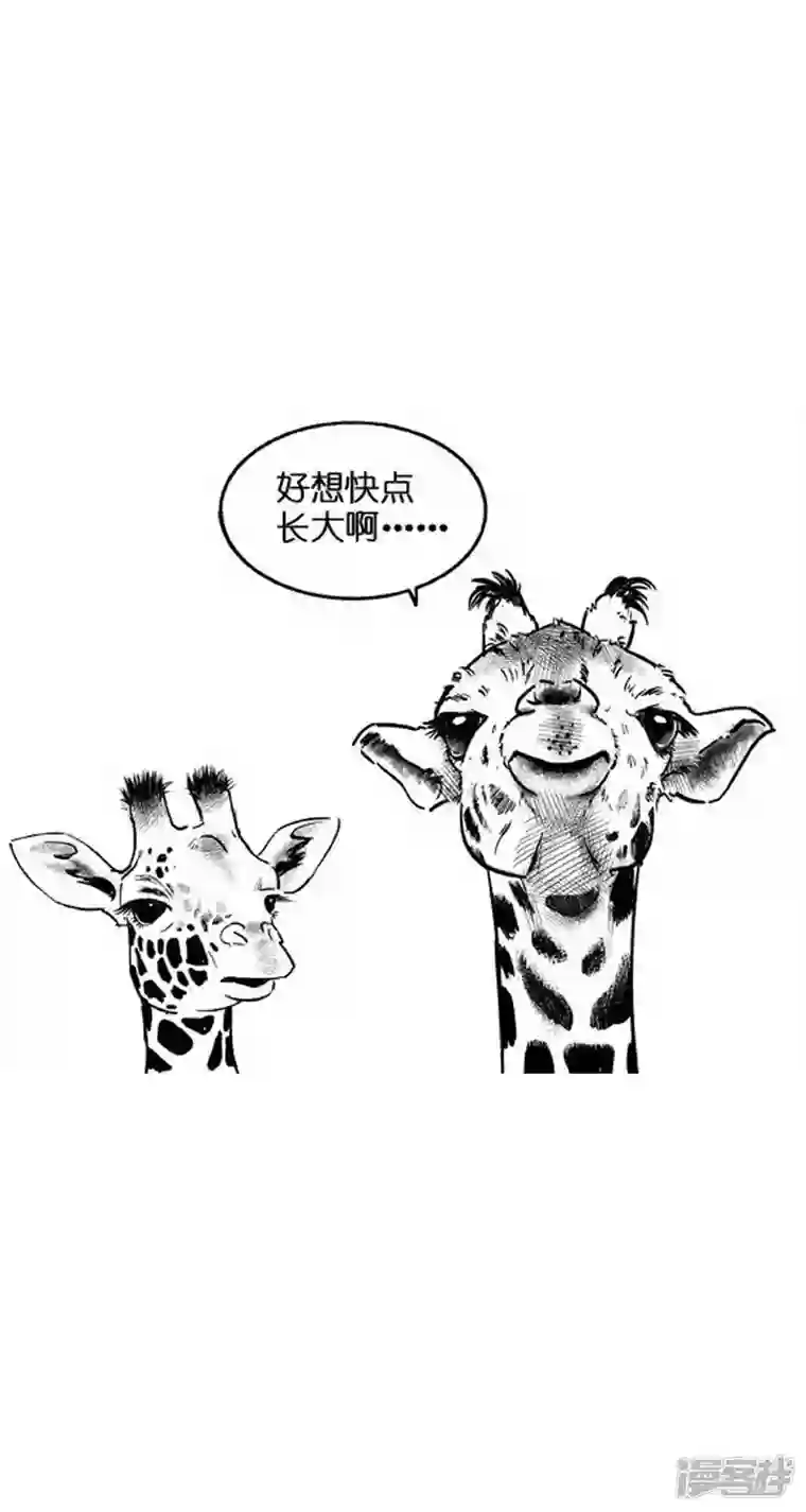 快把动物放进冰箱013长大