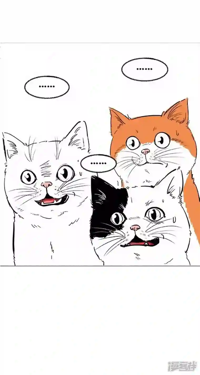 快把动物放进冰箱015给TA一个家