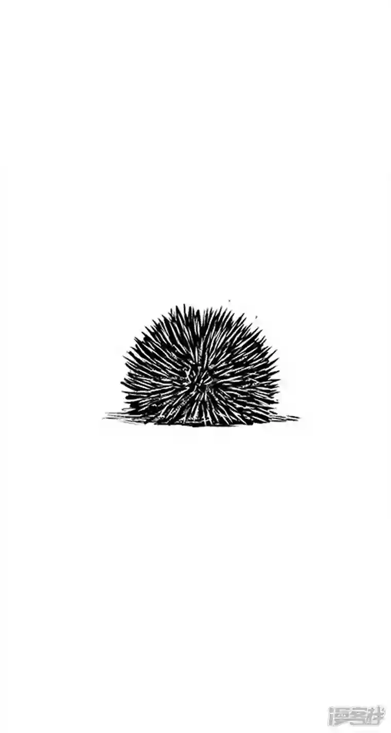 快把动物放进冰箱022《板栗少年把妹大作战》预热