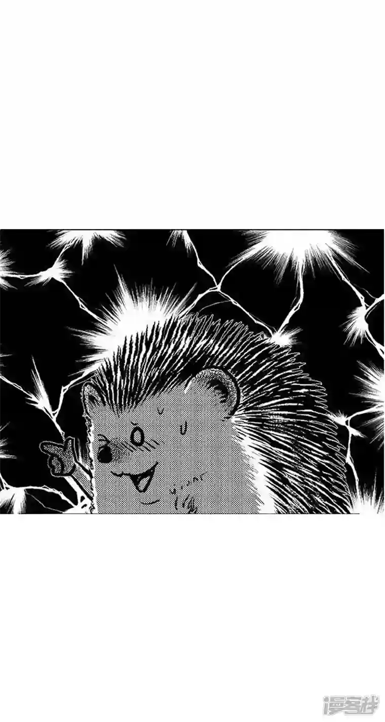 快把动物放进冰箱023甜言