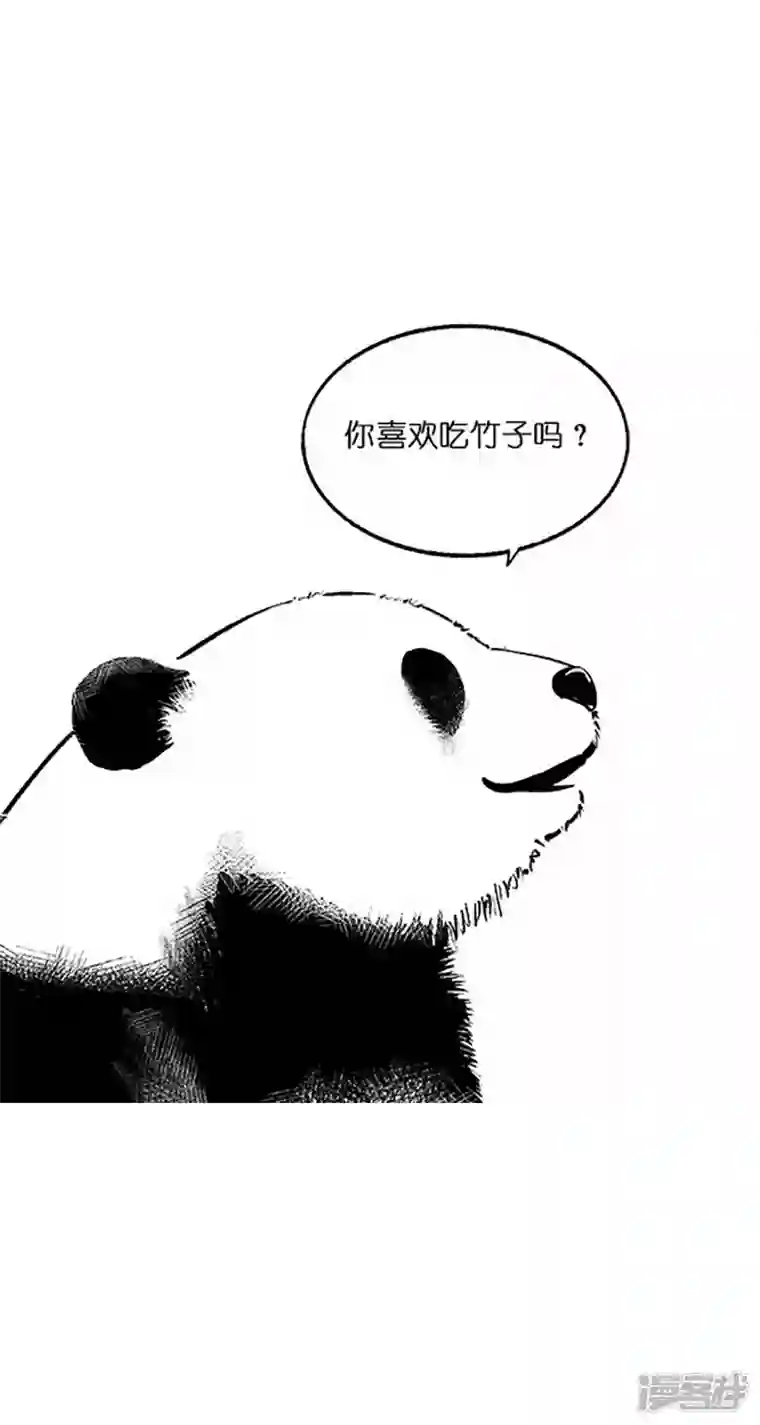 快把动物放进冰箱025竹子【一】