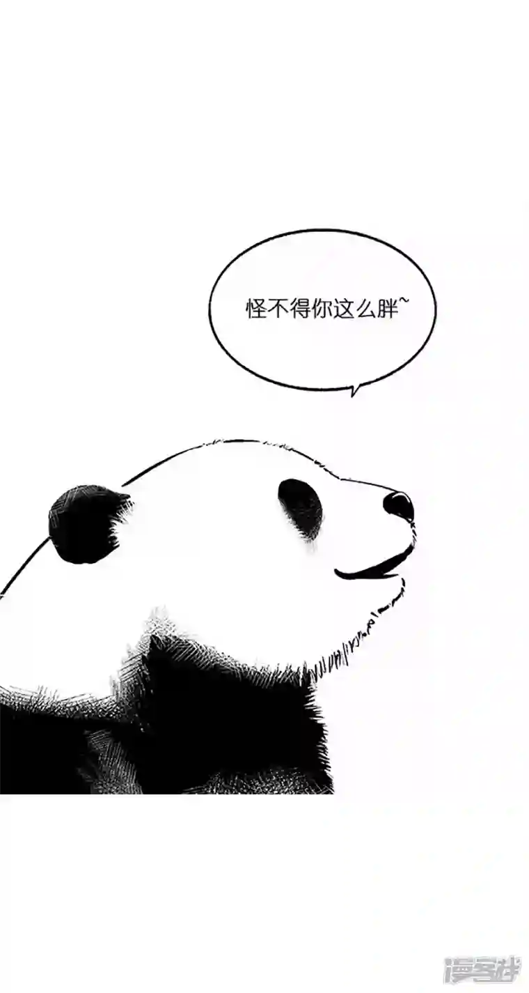 快把动物放进冰箱025竹子【一】