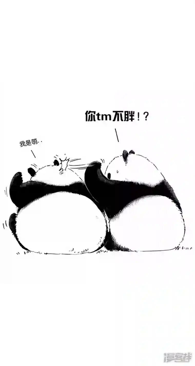 快把动物放进冰箱025竹子【一】