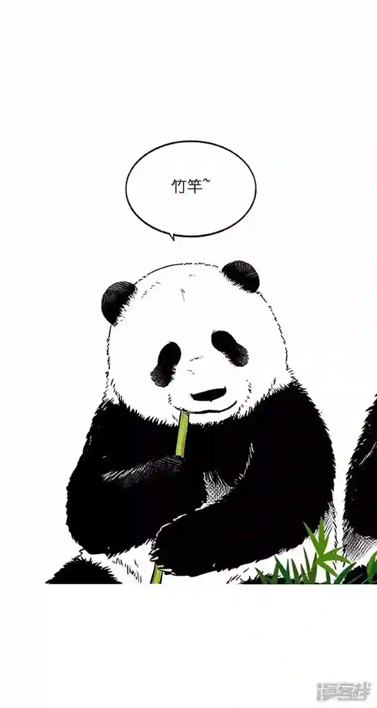 快把动物放进冰箱026竹子【二】