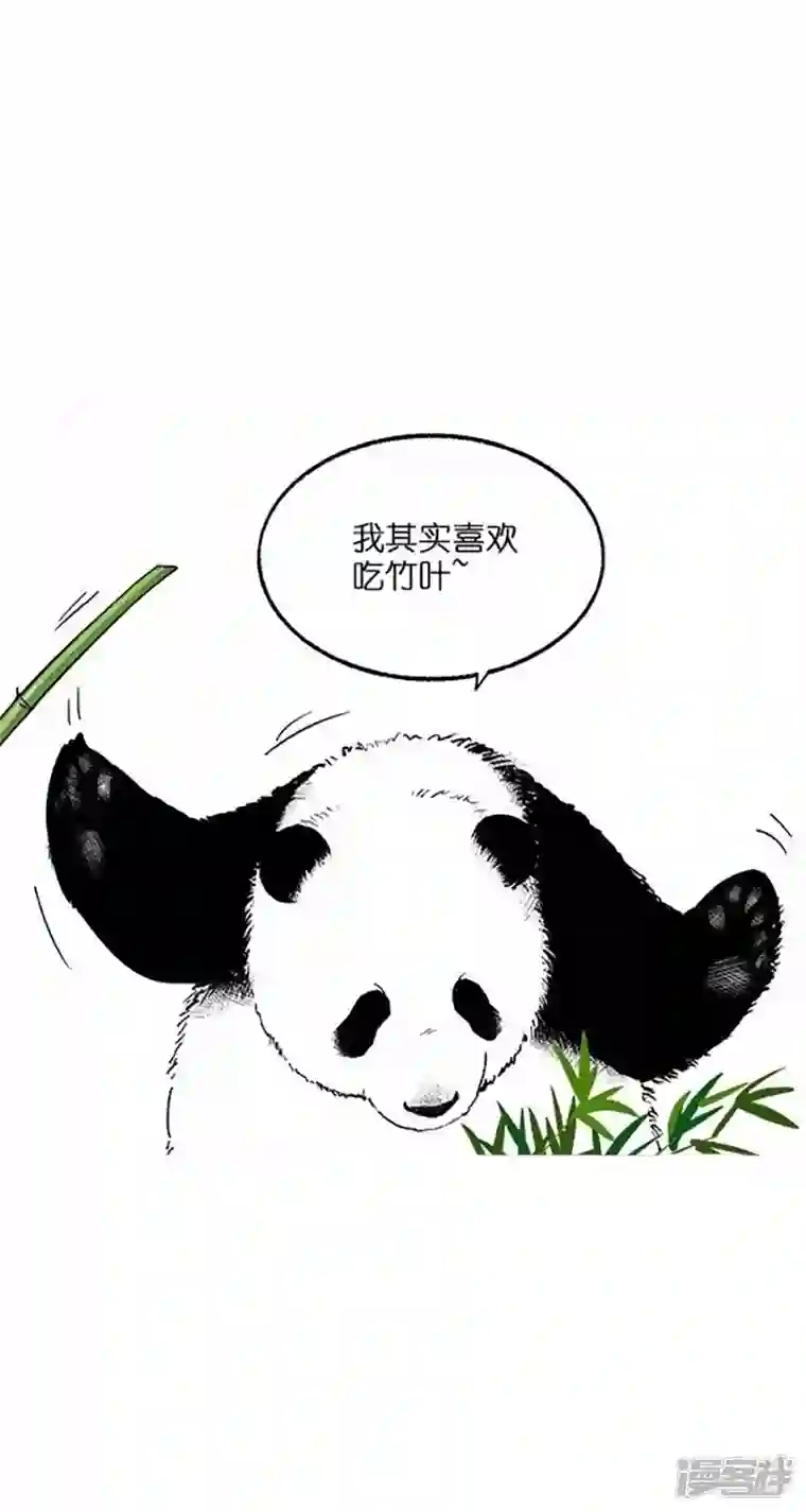 快把动物放进冰箱026竹子【二】