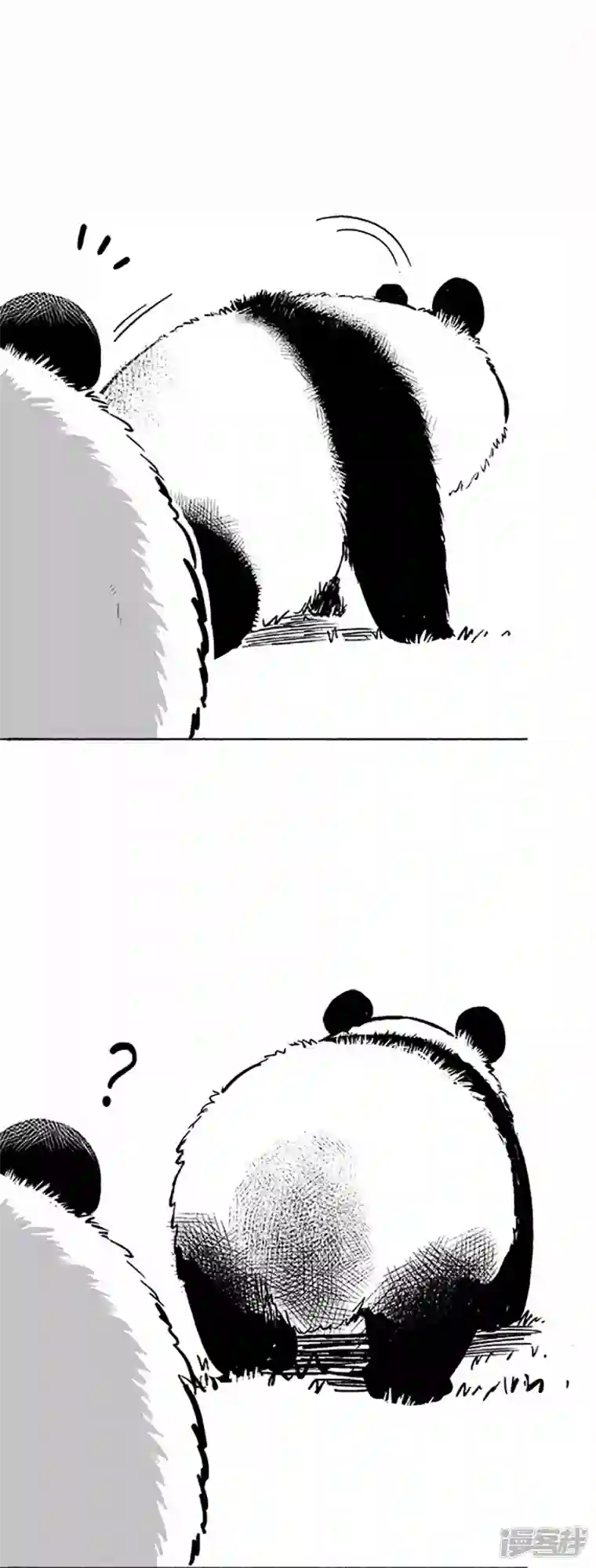 快把动物放进冰箱036滚滚冬天给你送暖气