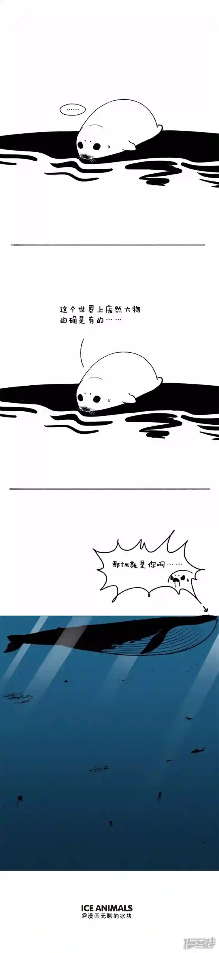 快把动物放进冰箱040恐惧