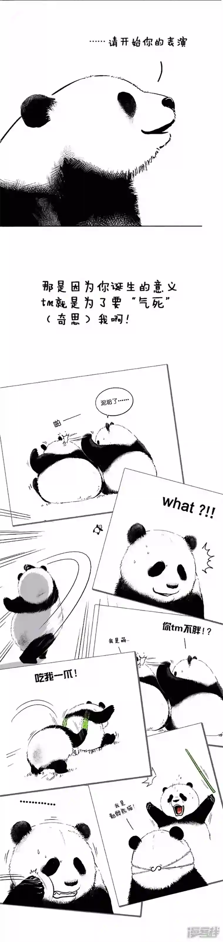 快把动物放进冰箱042名字