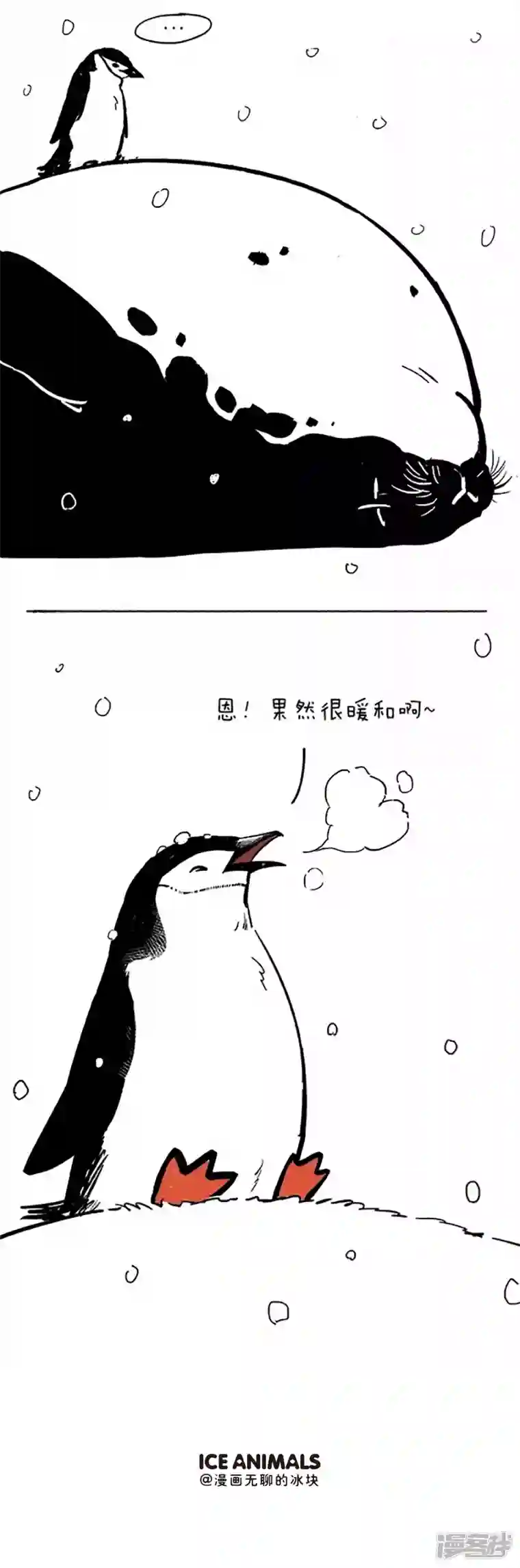 快把动物放进冰箱044悬崖