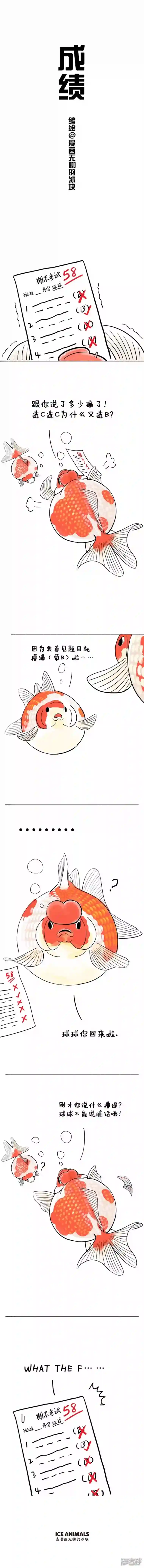 快把动物放进冰箱052成绩