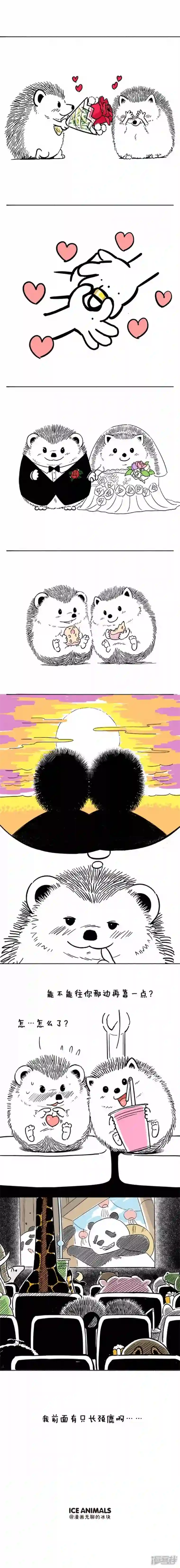 快把动物放进冰箱053电影