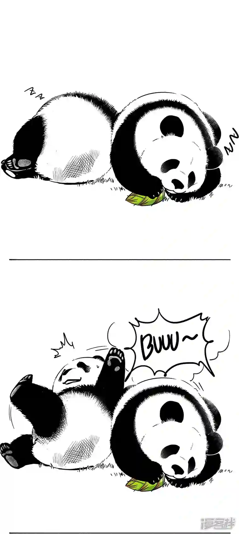 快把动物放进冰箱058惊醒