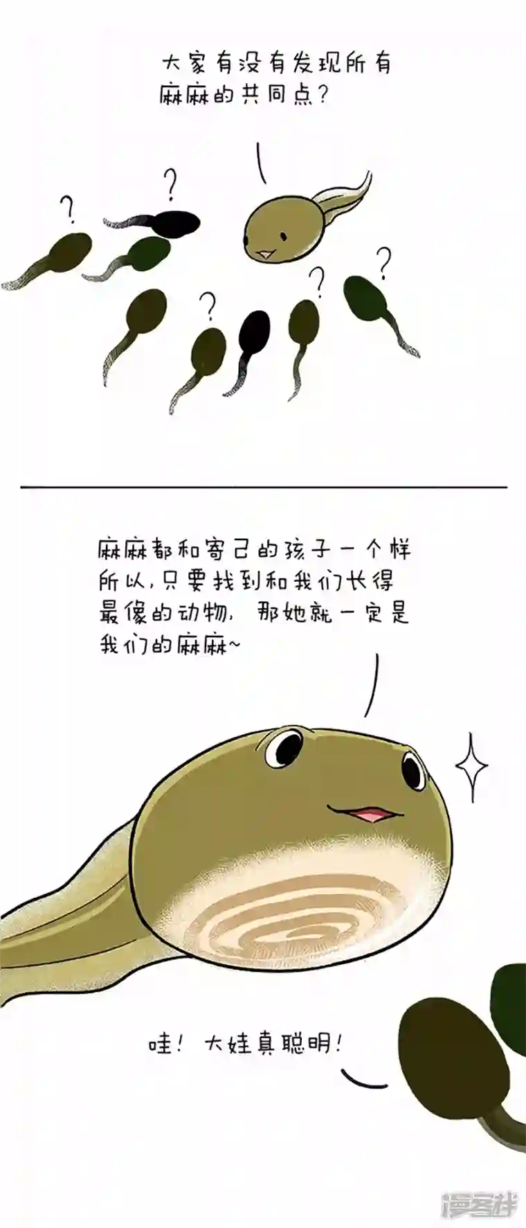 快把动物放进冰箱060小蝌蚪找麻麻(一）