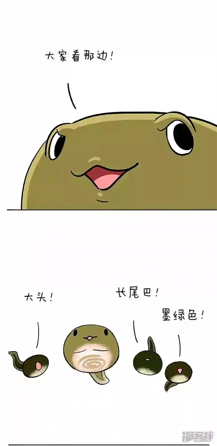 快把动物放进冰箱060小蝌蚪找麻麻(一）