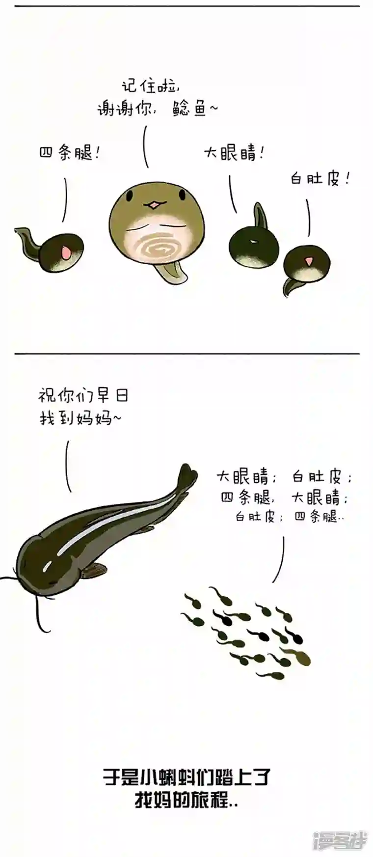 快把动物放进冰箱060小蝌蚪找麻麻(一）