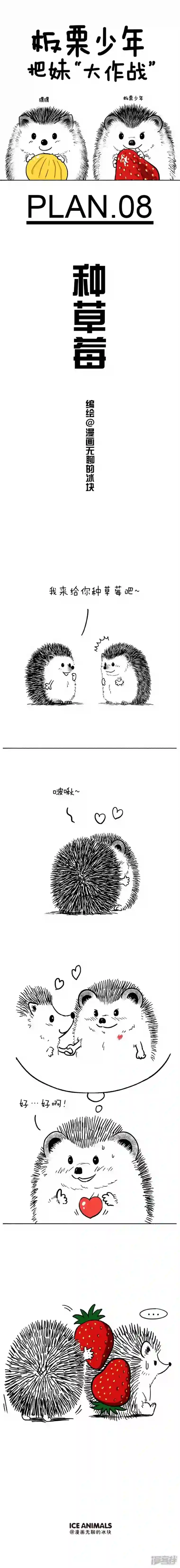 快把动物放进冰箱063今天教大家如何种草莓