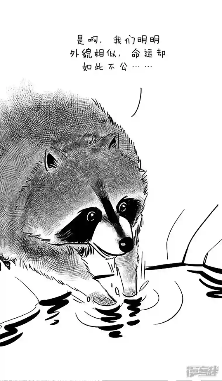 快把动物放进冰箱068原则