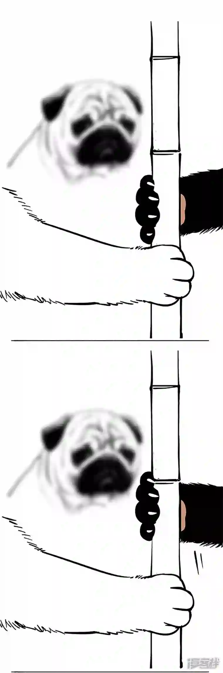 快把动物放进冰箱069狗粮