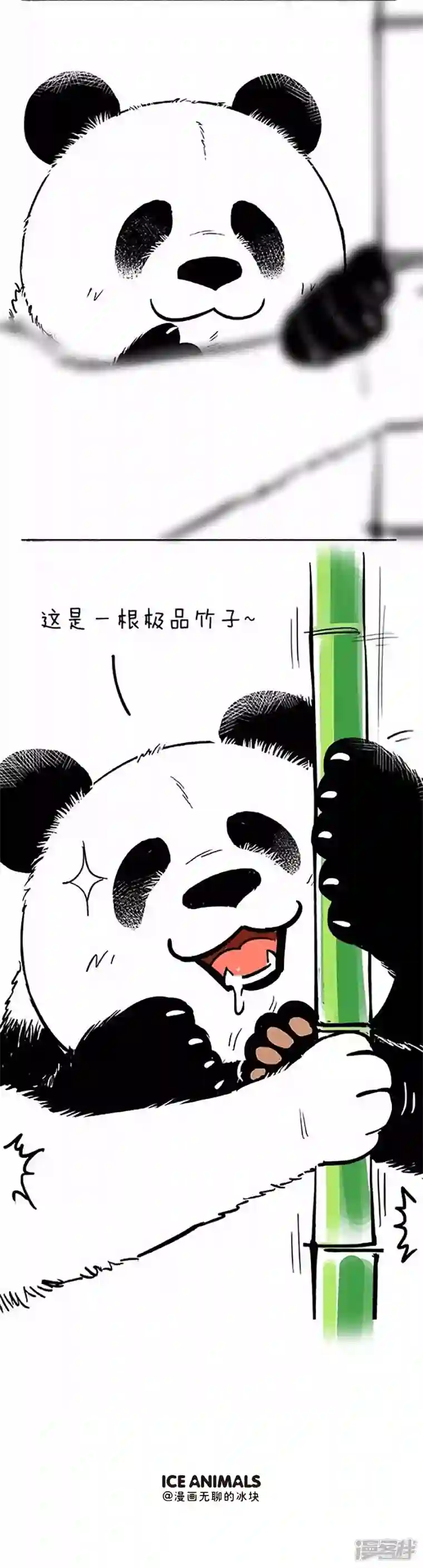 快把动物放进冰箱069狗粮