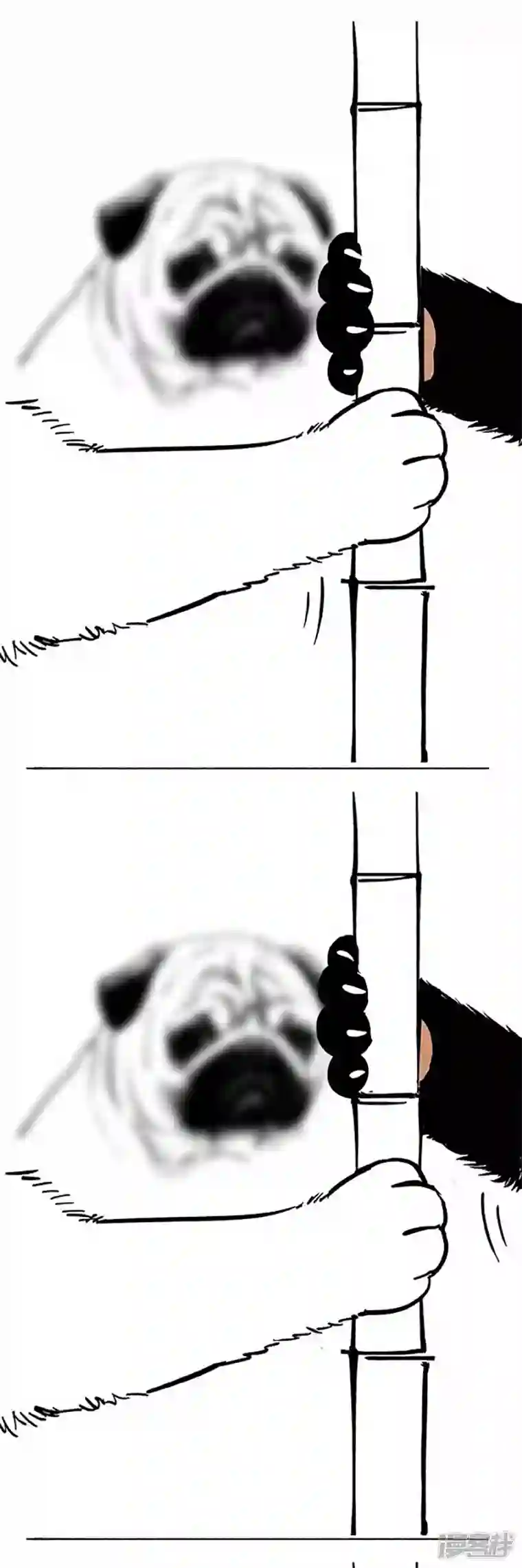 快把动物放进冰箱069狗粮