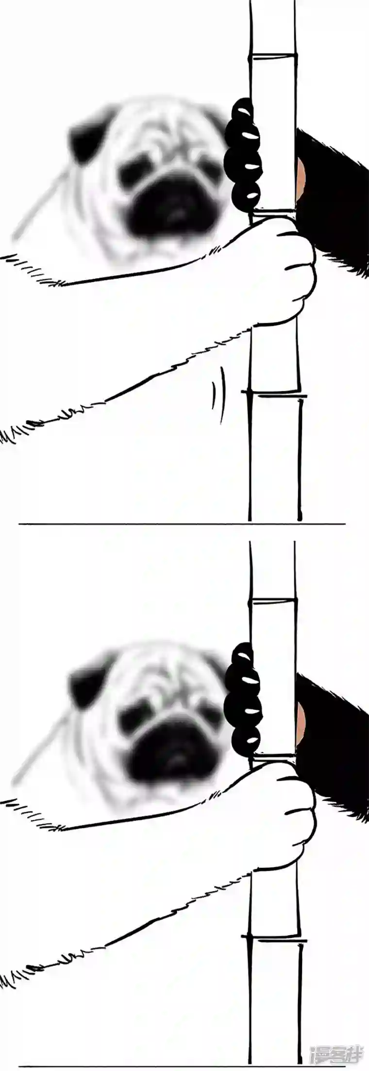 快把动物放进冰箱069狗粮