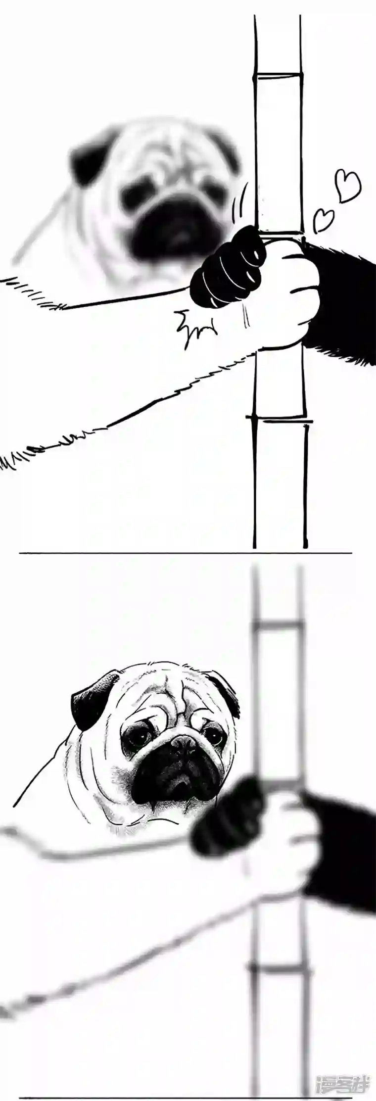 快把动物放进冰箱069狗粮