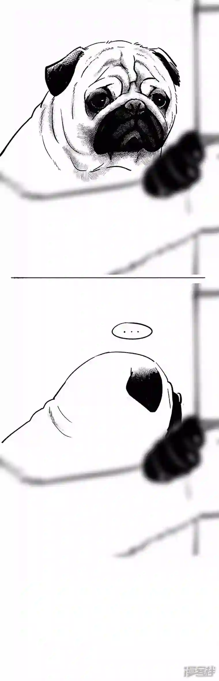 快把动物放进冰箱069狗粮