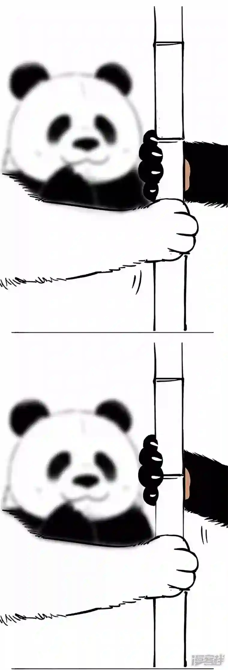 快把动物放进冰箱069狗粮