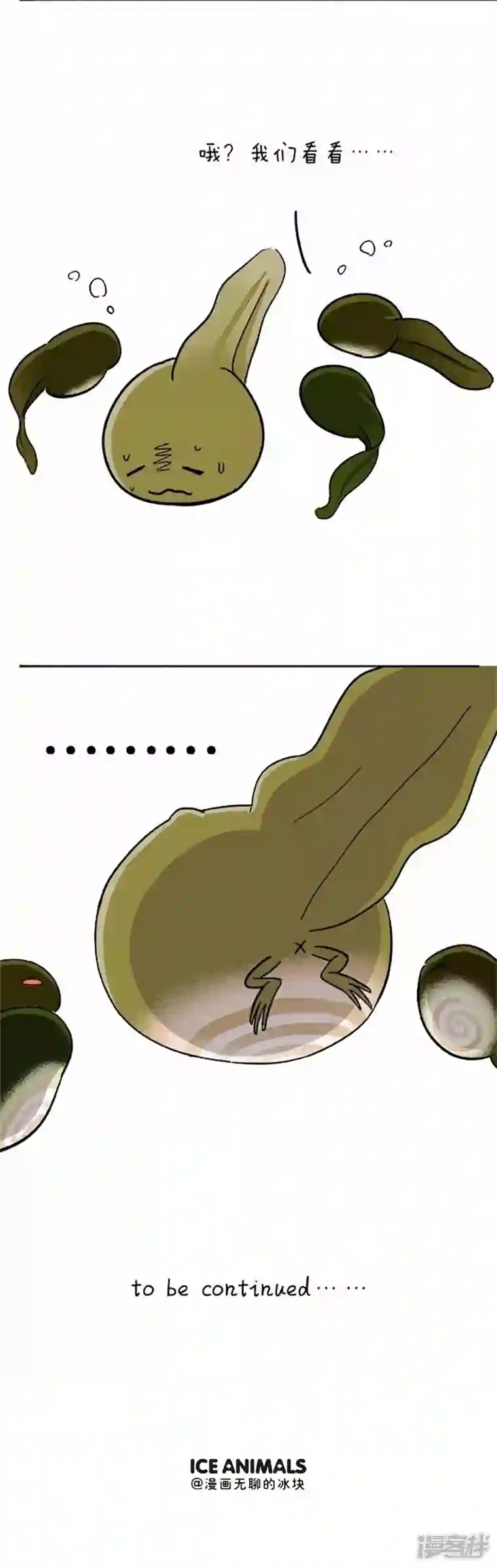 快把动物放进冰箱070小蝌蚪找麻麻之小蝌蚪“便秘”