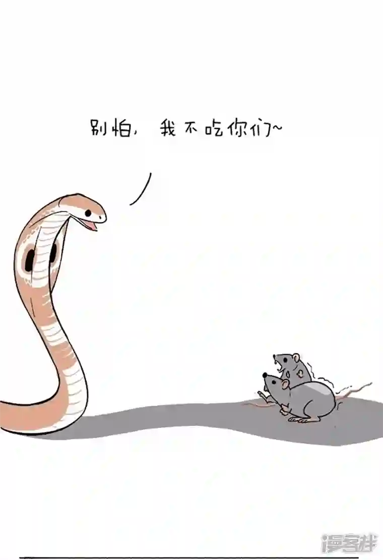 快把动物放进冰箱077我很毒可是我很温(dou)柔(B)