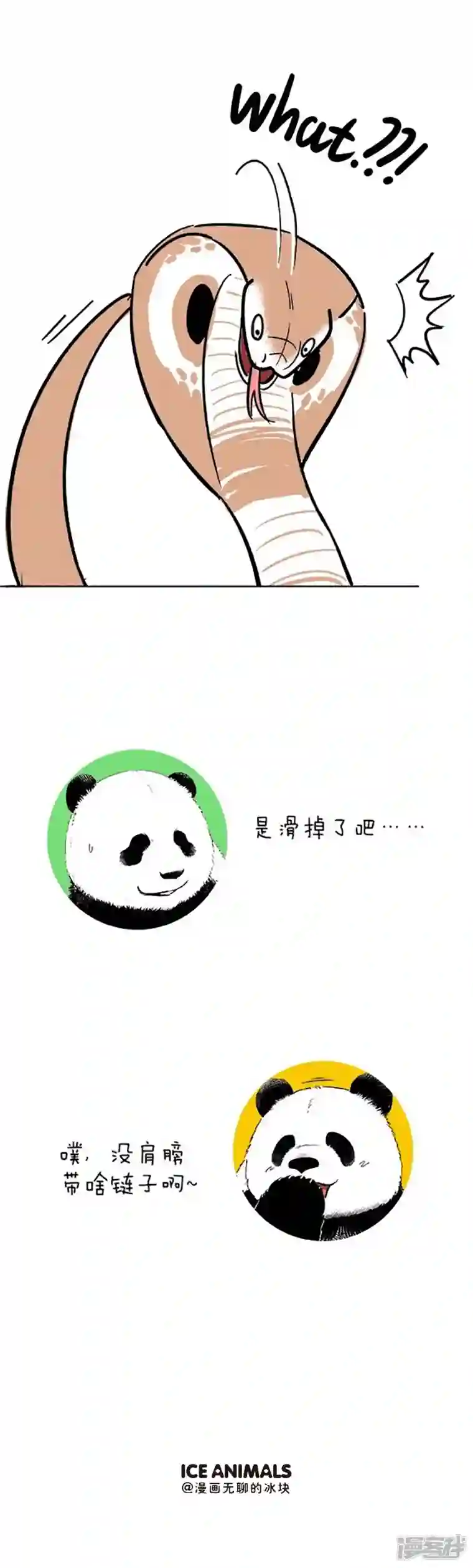 快把动物放进冰箱077我很毒可是我很温(dou)柔(B)