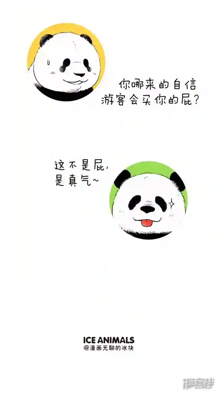 快把动物放进冰箱078我的生财之道你学不来